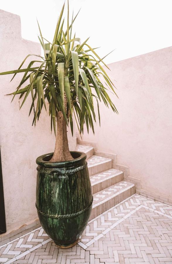 Hotel Oasis Dakhla Exterior photo